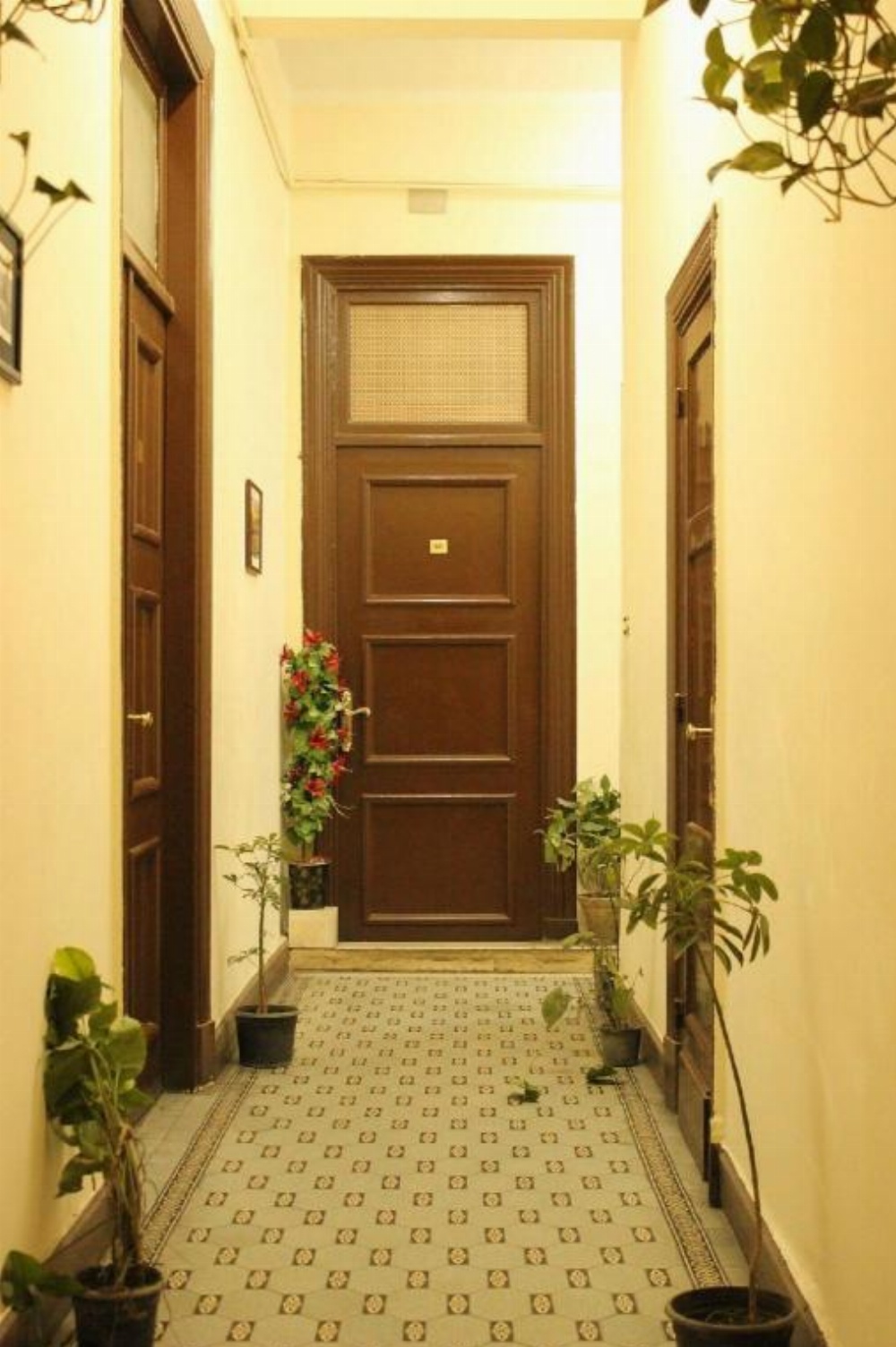 Mesho inn Hostel