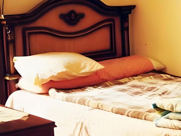 Mesho inn Hostel image 18